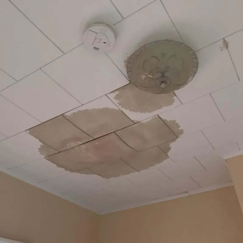 Ceiling Water Damage Repair in Wessington Springs, SD