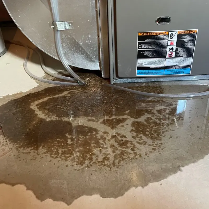 Pipe Burst and Leak Restoration in Wessington Springs, SD